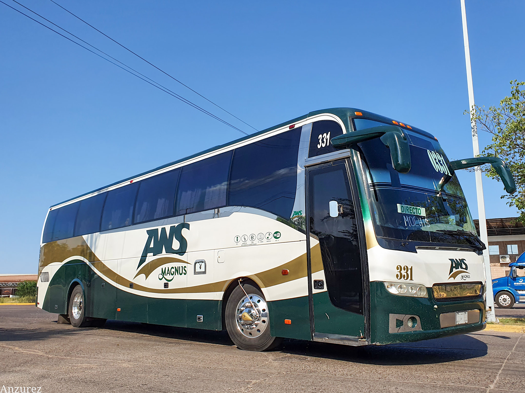 autobuses tim premier