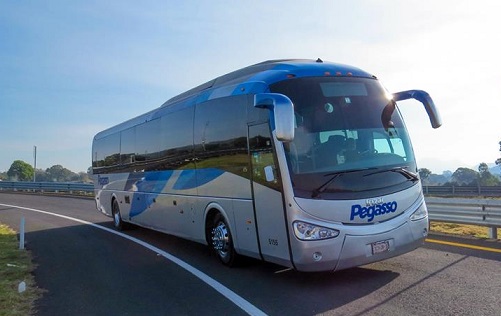 autobuses pegasso