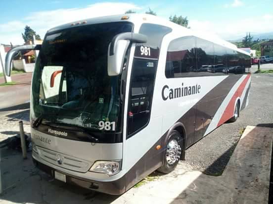 caminante autobuses