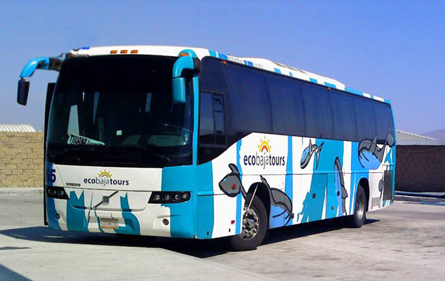 ecobaja tours