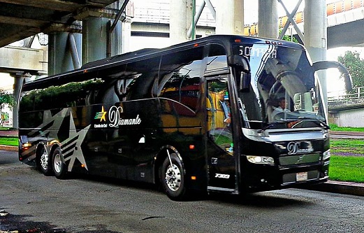 estrella de oro diamante