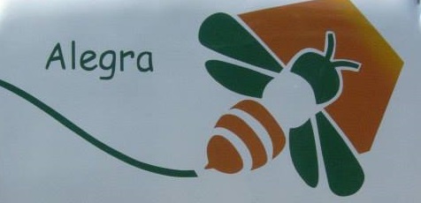 interbus de sinaloa logo