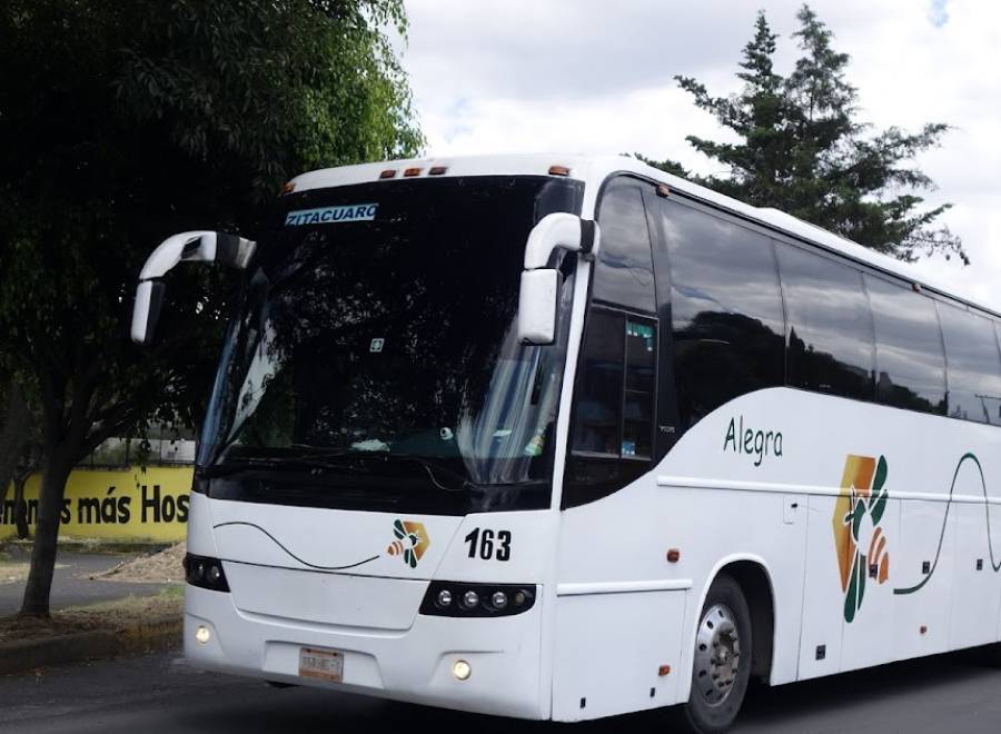 Autobuses Alegra